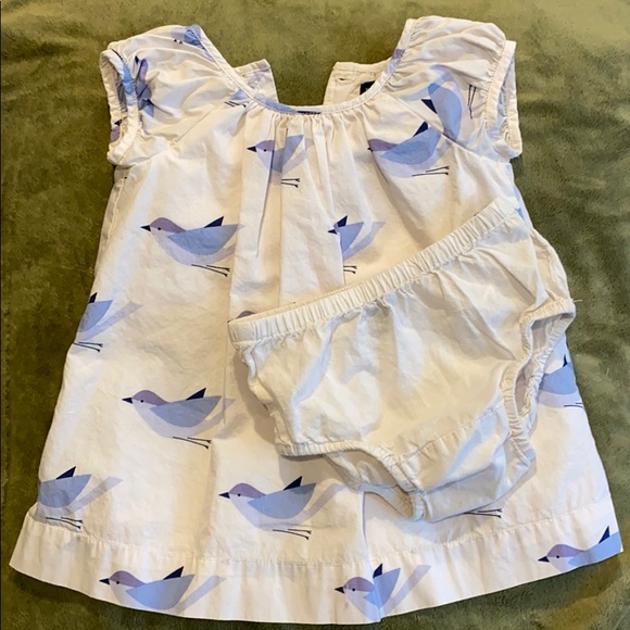 Gap bird print dress with diaper cover - Picture 3 of 5